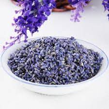 Lavender Hoa  oải hương Đà Lạt