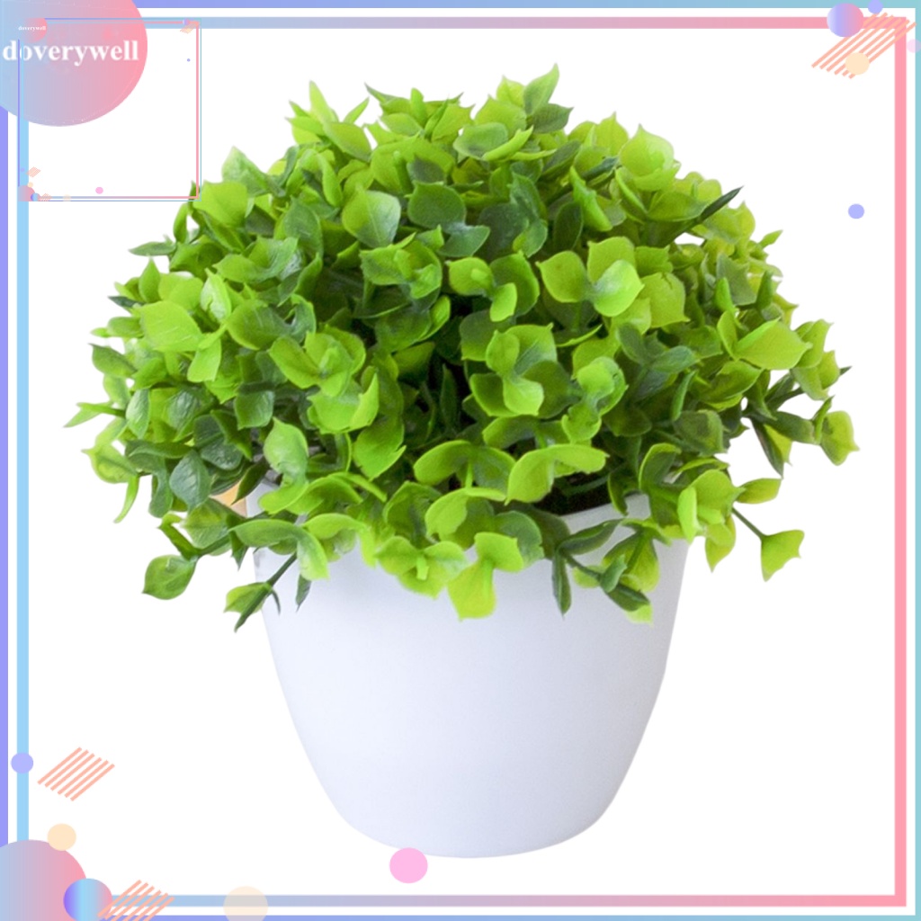 Chậu Cây Bonsai Bằng Nhựa Trang Trí Văn Phòng