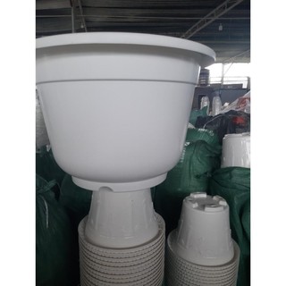chậu tròn trắng trồng cây loại dày to 30 cao 25