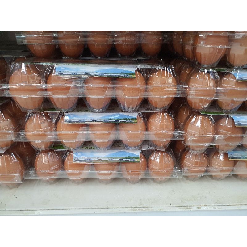 Trứng ga tươi mỗi ngày sẵn ship | BigBuy360 - bigbuy360.vn