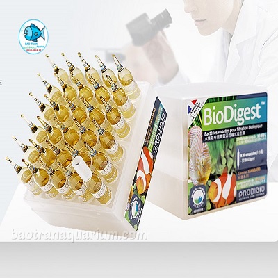 Vi sinh sống PRODIBIO BIODIGEST - PHÁP