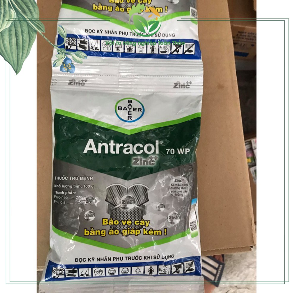 Thuốc trừ nấm bệnh thán thư, đốm lá, thối nhũng, vàng lá trên hoa hồng, hoa lan, cây cảnh Antracol 70WP