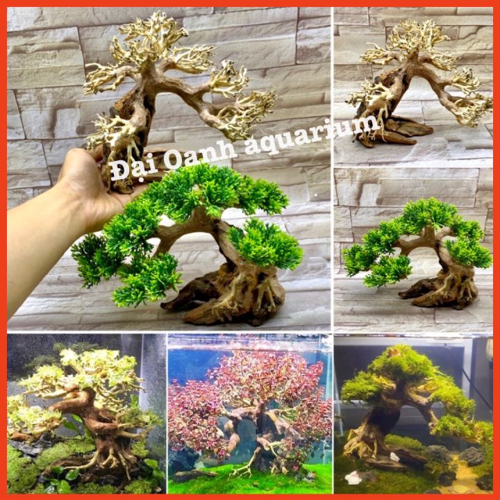 Lũa Bonsai Mini Trang Trí Bể Cá Cảnh, Bể Thủy Sinh Dáng Cây Cổ Thụ Cho Bể Cá 30-50cm