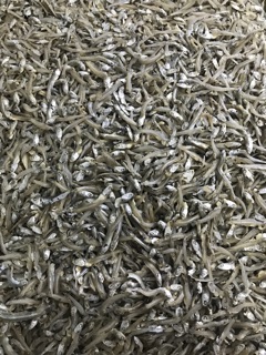 Cá cơm khô 1kg | cá cơm sữa