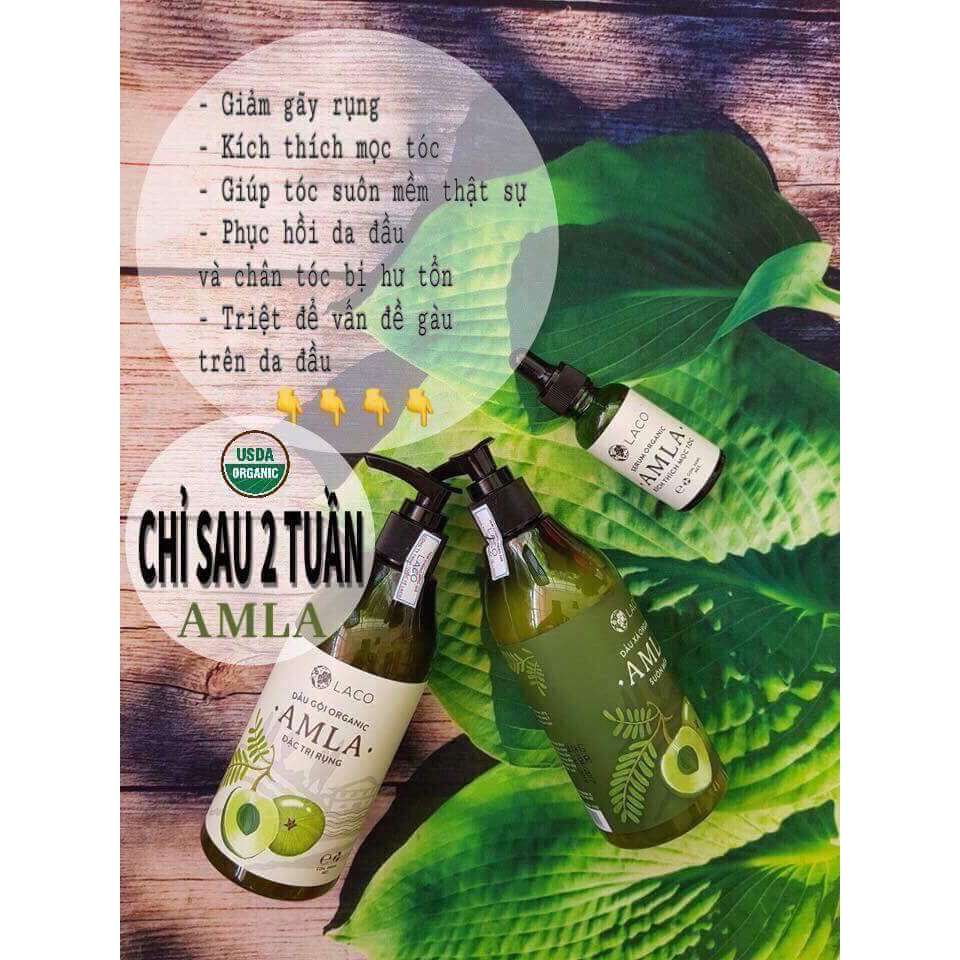 Dầu Gội Đầu Trị Gàu, Ngăn Rụng Tóc Organic Amla | BigBuy360 - bigbuy360.vn