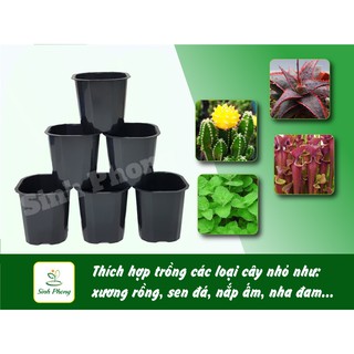 Chậu vuông 11x10 đen (Set 100 cái).