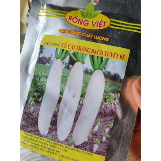 Hạt giống củ cải trắng bạch tuyết 10g