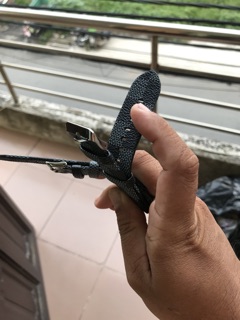 Dây đồng hồ LV Apple Watch