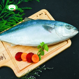 Cá cam nhật nguyên con nhập khẩu - giao hoả tốc hcm - quoc thinh foods