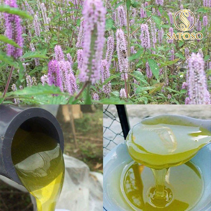 Mật ong bạc hà SATOSO tự nhiên sánh thơm mát tốt cho sức khỏe SA125