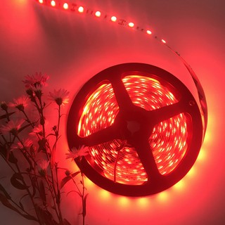 Led dây SMD5050, cuộn 5m 12Vdc (No Water Proof)