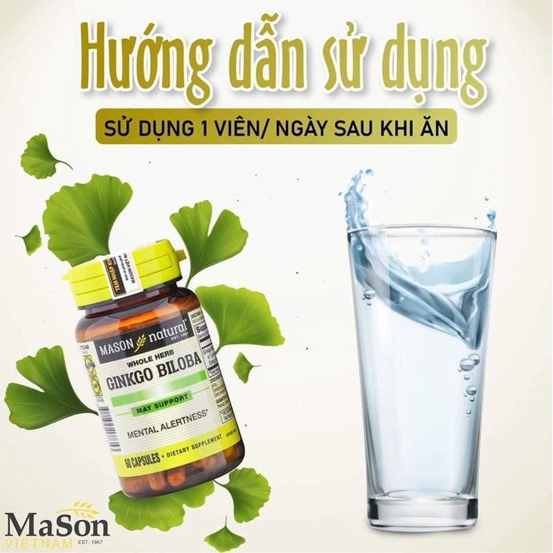Viên Uống Mason Natural Ginkgo Biloba Hỗ Trợ Chức Năng Bộ Não, Hệ Thần Kinh 60 Viên