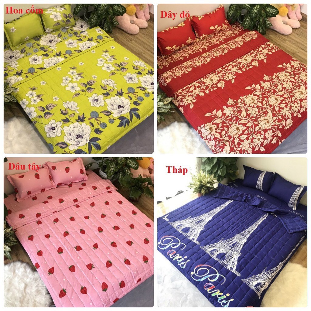 Ga Trải Giường Kèm 2 vỏ gối , drap trải giường Poly Cotton M6/M8 Nhiều Mẫu Tùy Chọn | BigBuy360 - bigbuy360.vn