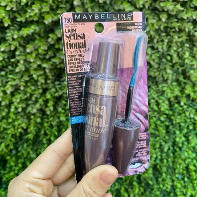 Mascara Maybelline Lash Sensational Curvitude