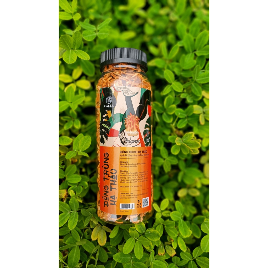 Trà Đông Trùng Hạ Thảo Sấy Khô Giúp Bồi Bổ Cơ Thể, Nâng Cao Sức Khỏe