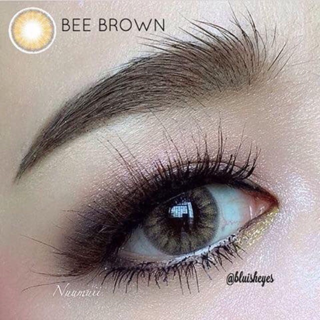 Kính áp tròng nâu rêu sáng Bee+ Brown có cận <CÓ SẴN> (tặng kèm khay dụng cụ)