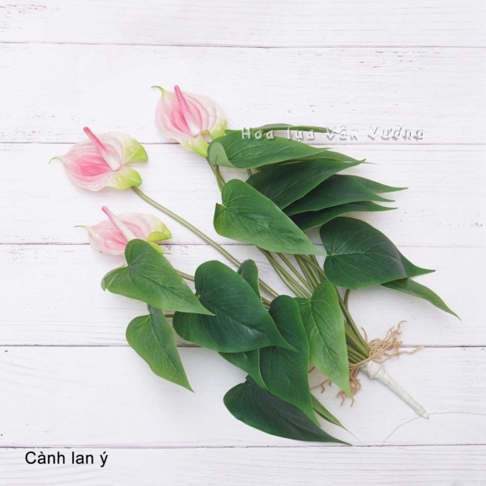 Cây giả - Cây Hoa Lan Ý  Cao Su 3 bông 18 lá