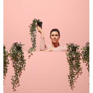 Chậu cây FEJKA IKEA chính hãng