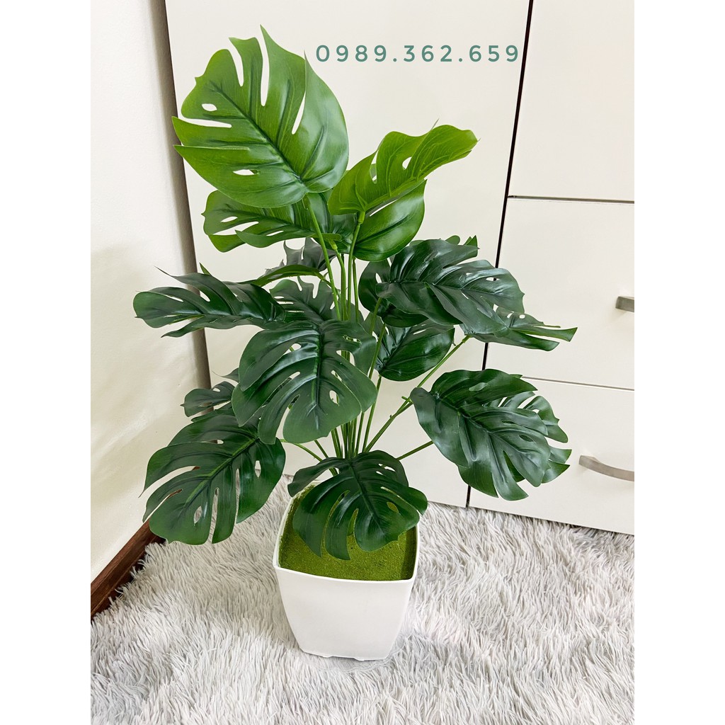 Cây giả - cây lá rùa decor 50cm