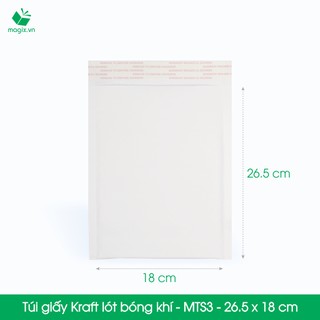 Túi giấy MTS3 30x20cm