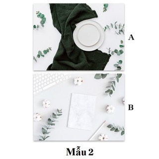 Phông Nền Chụp Ảnh, Thảm Chụp Ảnh 3D 2 Mặt Bìa Cứng Kháng Nước Hình 3D In Sắc Nét Mẫu 2