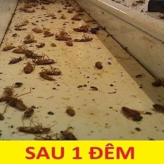 Thuốc diệt kiến, diệt gián sinh học (gói 10gr)