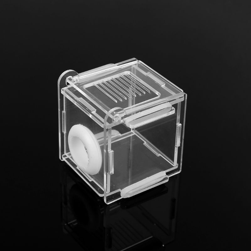 Hộp nuôi kiến/ côn trùng bằng kính acrylic mini tiện dụng