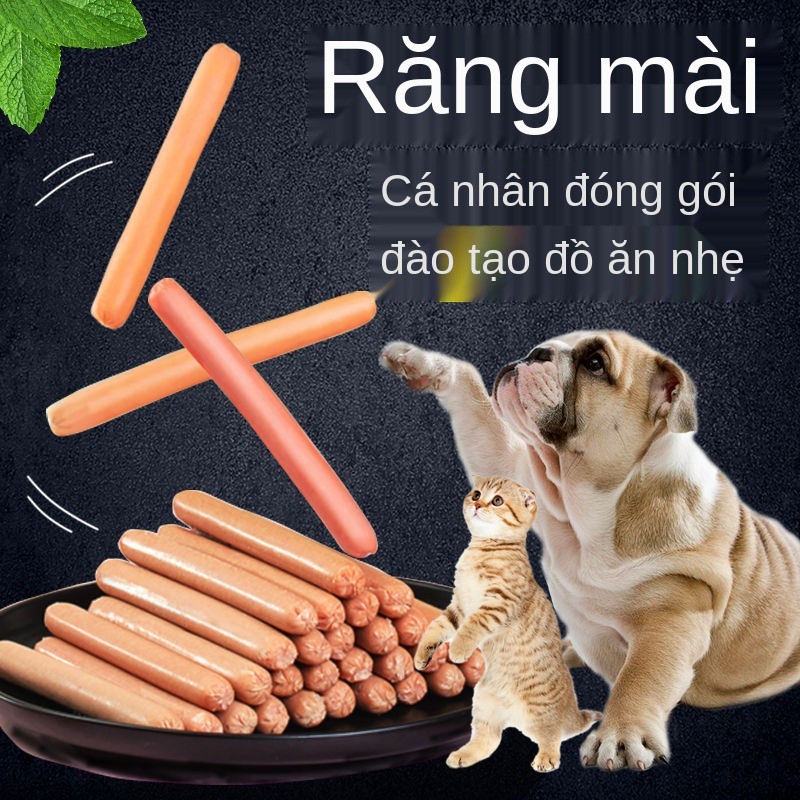 Thức ăn cho thú cưng▩♤đồ ăn vặt cho chó ham xúc xích Nguyên hộp bán buôn thức huấn luyện mèo cưng Teddy Golden R