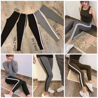 Combo 4 quần legging AGE2X