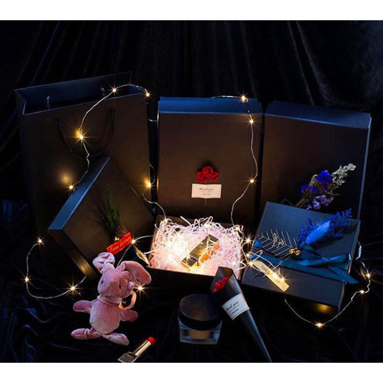 Dây đèn led Fairy Light trang trí, đèn đom đóm nhấp nháy siêu đẹp - GGTeam