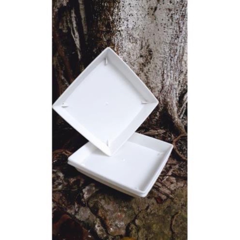 Đĩa nhựa vuông lót chậu, khẩu lót chậu vuông hoa cây cảnh đủ sezi V19, v20cm, V25 cm,V28cm