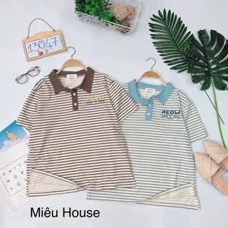 Áo thun kẻ sọc có cổ thêu cute
