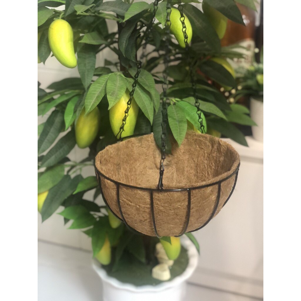Chậu treo xơ dừa trồng cây, trang trí cực xinh, hàng sẵn kho