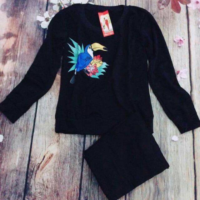 Bộ thu đông vẹt