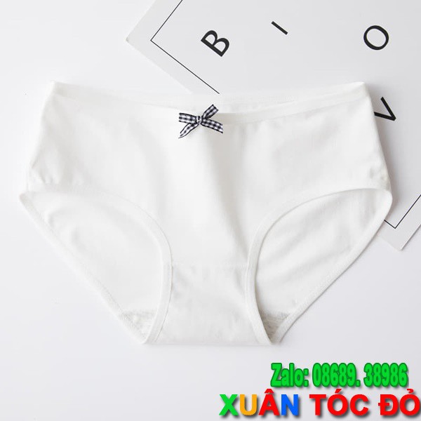 SỈ ZALO RẺ HƠN NHIỀU_ Quần Lót 5 Kiểu Cotton Xịn Mới Mẻ N039 (Vải Tốt, Đường May Đẹp) | BigBuy360 - bigbuy360.vn