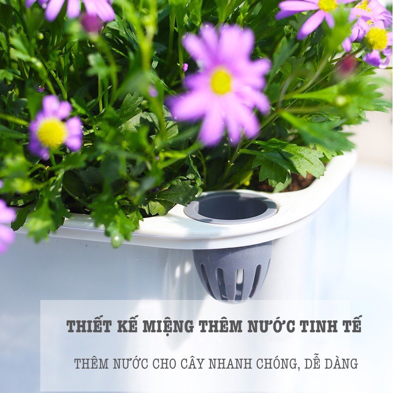 Chậu cây để bàn Oliz-Gerta 211. Chậu trồng cây thông minh tự dưỡng