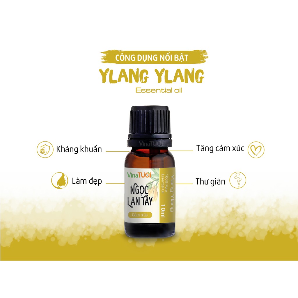 Tinh dầu thiên nhiên Ngọc Lan Tây 10ml nguyên chất giúp làm đẹp, thư giản tăng cảm xúc tinh thần sản khoái và thoải mái.