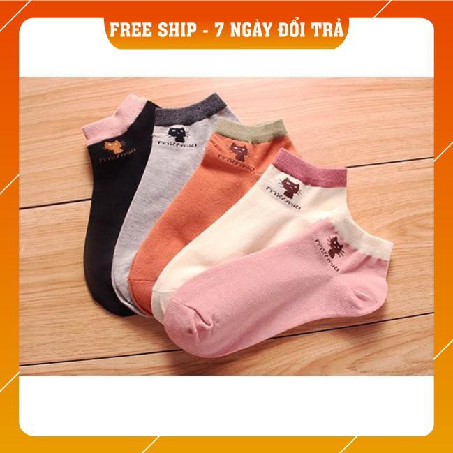 Set 10 đôi tất chống hôi chân Miu Miu