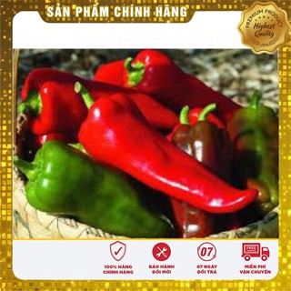 Hạt Giống Ớt Sừng Ngọt
