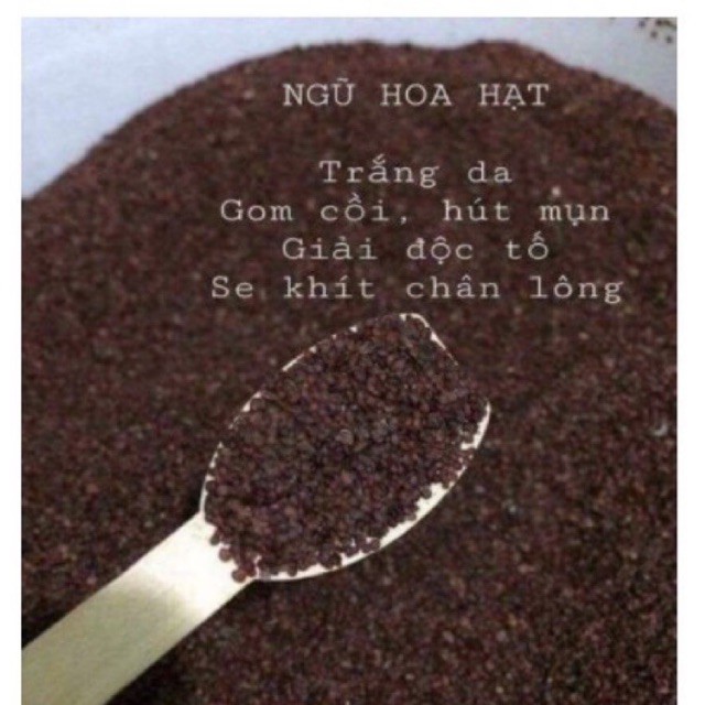 Ngũ hoa hạt ( hạt đình lịch) loại đẹp sạch