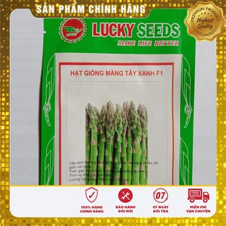 Hạt Giống Măng Tây Xanh(10 hạt)
