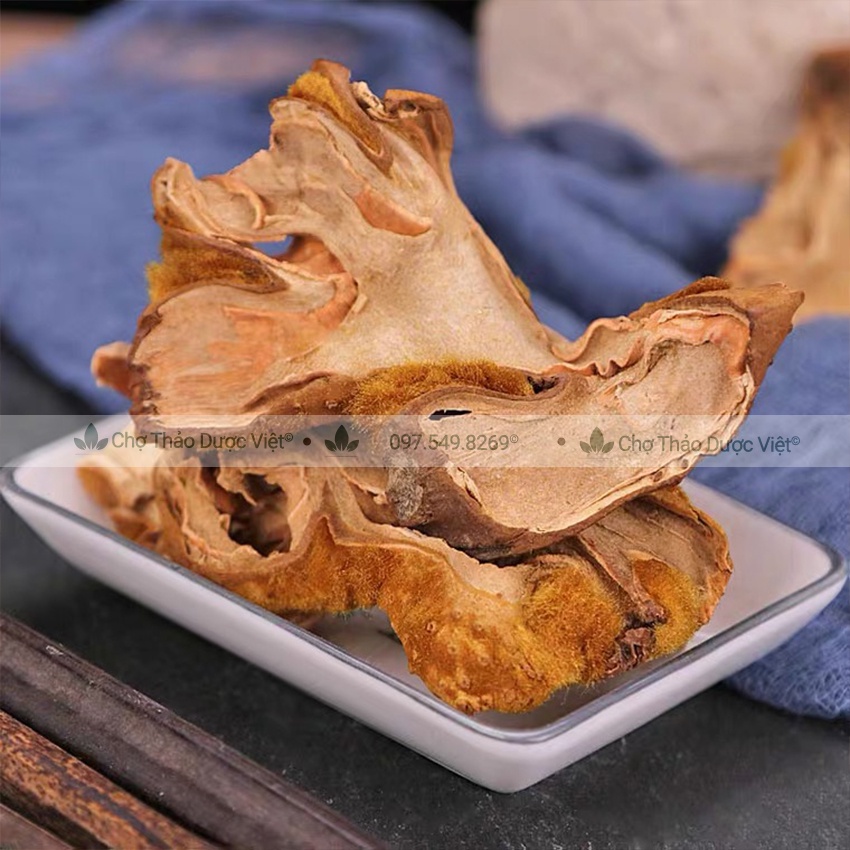 Cẩu tích, cây lông culi khô 1kg mạnh gân cốt, tăng cường sức khỏe phái mạnh - Chợ Thảo Dược Việt