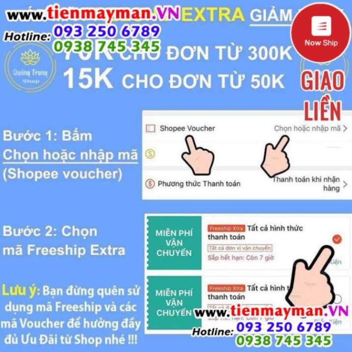 Đồng Tiền Hoa Mai ⭐FREESHIP⭐ Xu Kim Tiền Tài Lộc