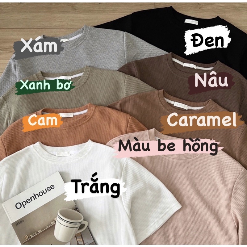Áo phông trơn áo thun basic chất cotton tổ ong (có sẵn)