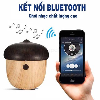 Loa quả Sồi- Loa bluetooth- Loa không dây