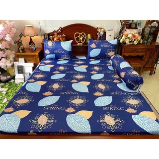 Set 4 món drap áo gối thun lạnh hàn quốc