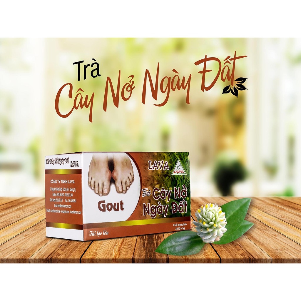 Trà Nở Ngày Đất (hộp 30 túi lọc)–Dành Cho Người Bệnh Gút, Acid Uric Cao