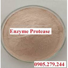 100g-Enzyme Protease Nguyên Liệu [làm sạch nước,Phân Hủy Thức ăn Thừa Cá,Tôm]#gói 100g .