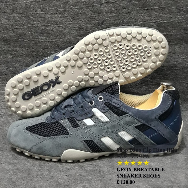 Giày Geox màu xám xanh