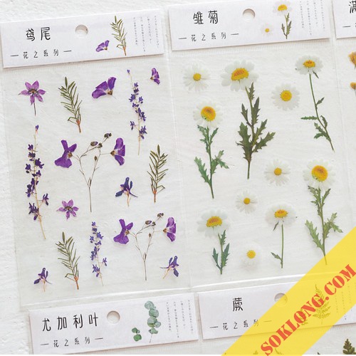 Sticker hoa lá Vintage trang trí sổ bullet jouranal, thiệp, nhãn dán hình hoa lá nhiều mẫu